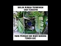 Download Lagu nostalgia anak 90an | Suratan - Tommy J Pisa