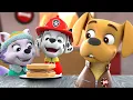 Download Lagu PAW Patrol | Dwayne's Sandwich Gets Stolen w/ Marshall, Everest, \u0026 Gasket