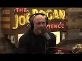 Joe Rogan Experience - James Fox