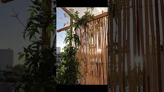 قراءة جميلة للشيخ السديس السديس اكسبلور القران الكريم 