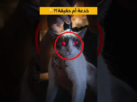 سر تحول عيون القطط للأحمر.. خدعة أم حقيقة؟😳