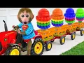 Download Lagu Monkey Bon Bon’s Supermarket Adventure! 🚗🛒#monkey  #monkeybaby #animalshome
