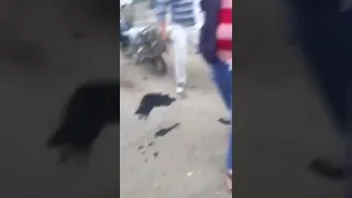 مشكلة الباعة الجائلين في سوق نجع حمادي 