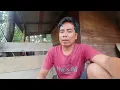 Download Lagu Suasana sepi di pondok sendirian pakde bukde sakit dkkeluargatani jaga kebun sendirian