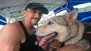 Help!!! Adopt This Amazing Dog (50% Pure German Shepard + 50% Huskey = Best Pupper EVER!!!)