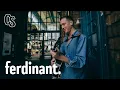Download Lagu ferdinant. - Wereld vol kleur / Gouden dagen - KARDINALE SESSIES