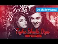 Lagu DJ Shadow Dubai - Tujhe Bhula Diya X Return To Oz (Mashup) - HS infoaid