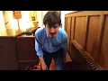 John Mehrmann, Organ