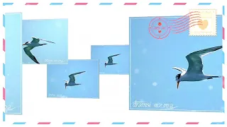 ياطير عالي فـ السماء حوم كاملة عود صلاح الجنيبي 