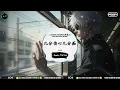 几分伤心几分痴 (抖音DJ版) - 王杰『哭泣声绝无意义，它不会扭转分开的心意。』♪ || 年度最佳抖音歌曲 | 抖音最火歌曲音 | 抖音 | TikTok •|• Douyin ♪