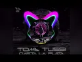 Toma Tussi gasta la Plata | Slowed + Reverb | Slowed Song | T90 Official Clan #tomatussi #slowed