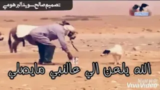 قيصر الشعراء عبدالكريم المالكي خلي ادموعك خلي دندنها