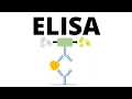 ELISA (Enzyme-linked Immunosorbent Assay)