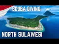 Download Lagu DIVING Bunaken, Lembeh, Olele, Hiking Tangkoko MANADO, NORTH SULAWESI