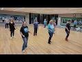 It's Raining Whiskey line dance demo