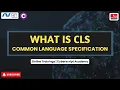 Understanding the Common Language Specification CLS in C NET Interoperability