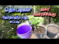 Lagu தொட்டிகள் தேர்ந்தெடுப்பது எப்படி? | Plant Growing Tips in Terrace Garden | Tamil | Gardening