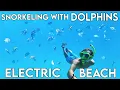 Wild Spinner Dolphins at Electric Beach Oahu Snorkeling Spots Best places to snorkel HAWAII