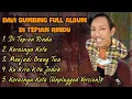 Download Lagu Kumpulan Lagu Terbaru Davi Siumbing VIRAL | Di Tepian Rindu, Kerasnya Kota
