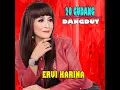 Hidup Diantara Dua Cinta - ERVI KARINA
