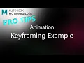 MotionBuilder ProTips - Animation