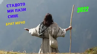 Стадото ми пази сине Брат Мечо Stadoto Mi Pazi Sine Brat Mecho 2022 