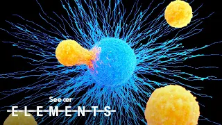 Finding a Cancer Killer | Breakthrough. 