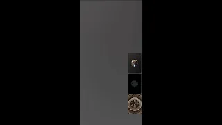 حوارات مع غير المسلمين الأجانب دندنها