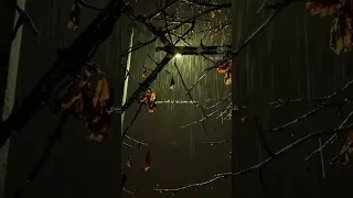 عارف بتعمل فيا اي كلمه حبيبي خليك معايا بدون موسيقى 