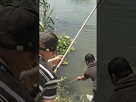 صيد البنيه العجوزه #fish_catching # #اكسبلور #fishing #fish