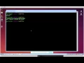 Setting up a NodeJS environment on Windows using Vagrant Part 1