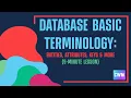 Database Basics Explained Entities Attributes Keys More 5-Minute Lesson