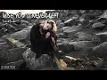 Lagu Wish You'd Never Left - TrackTribe | 2-hour tune | Endless loop | Copyright Free!