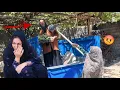 Download Lagu From the hospital to the workplace; the employer's ugly and humiliating treatment of Leila shocked 😱