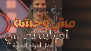 مش وحشة   أصالة   العقبة                               دندنها