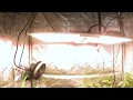 Spider farmer sf2000