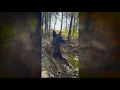 North Ridgeville Police Department announces passing of K-9