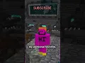 minecraft s secret languages