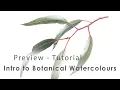 Preview - Botanical Art Tutorial