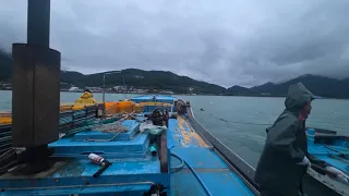 주의보 안떨어졓나?