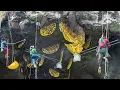 Download Lagu Extreme Job of Harvesting Wild Honey Under Dangerous Stone Cliffs
