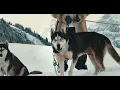 Didi B - Holiday Season (Official Music Video)