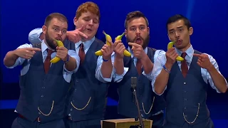 Download The Newfangled Four - Bananaphone MP3