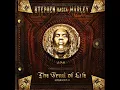 Stephen Marley - So Strong ft. Shaggy [Bass Boosted]
