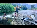 Lagu Traditional Fishing Skills - Girl dams a 300-meter stream to catch giant fish on a cold, rainy day