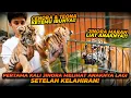 Download Lagu MENGHARUKAN ! PERTEMUAN JINORA DENGAN 2 ANAKNYA ! TERNYATA BEGINI REAKSI JINORA !!