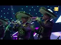 Alejandro Fernández - Inexperto En Olvidarte -  Festival de Viña del Mar 2023 -  Full HD
