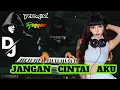 Download Lagu Remix Reggae Jangan Cintai Aku Cover Electone