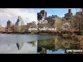 จงรัก - สุเทพ วงศ์กำแหง  (ต้นฉบับ)