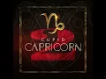 CUPID “FLEX (REMIX) ft.69 BOYZ” ~ #CAPRICORN2  (NEW ALBUM)